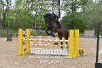 BPP_8097