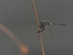 P1045954
