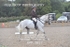 BPP_9822