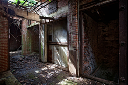 Barnes' Meat Packing Company* portfolio