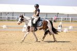 SBM_003053