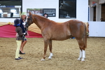 SBM_07720