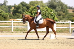 SBM_003702