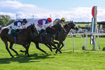 080926-Race 4-Kings Merchant-2523
