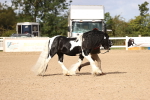 SBM_09331
