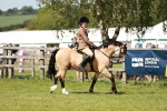 SBM_08457
