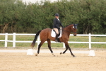SBM_00526