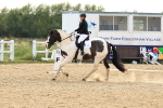 SBM_001051