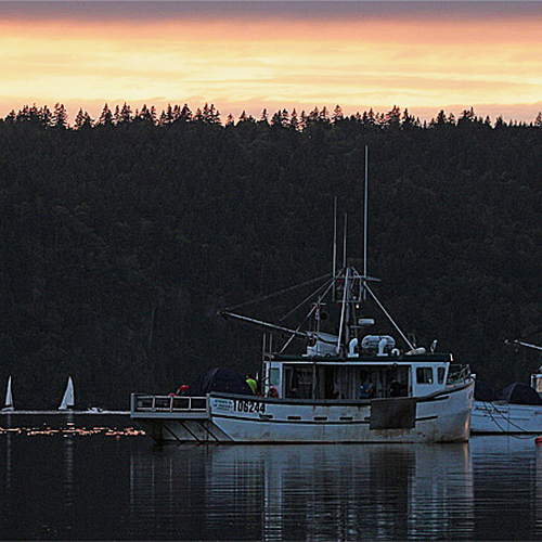Near shore fishing vessels can be seen moored off Rothesay wharf as sailboats skirt Long Island and the Minister's face.
