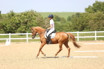 SBM_010083