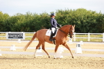 SBM_008064