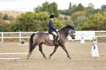 SBM_009877