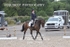 BPP_7985