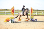 SBM_000232