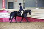 SBM_20553