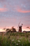 <center>Horsey Mill</center>