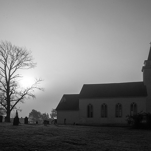 This image was taken just after a heavy rain and with the sun attempting to poke through the heavy mist & land fog th…