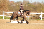 SBM_003463