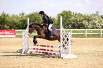 SBM_000335