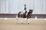 SBM_006934