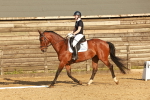 SBM_000531