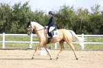 SBM_015391