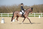 SBM_008347