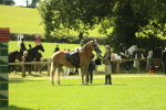 SBM_44717