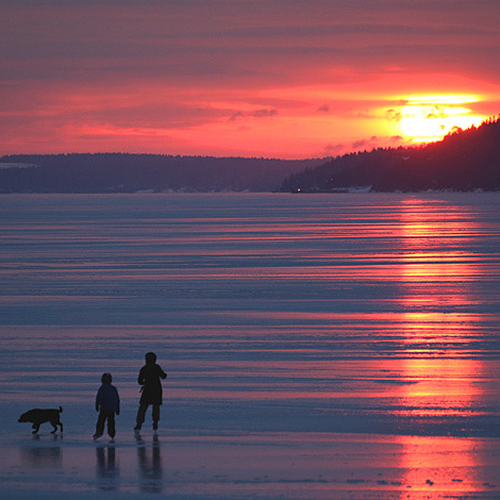 Family & dog skate into another spectacular Kennebecasis River Sunset.