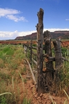 The Fence
