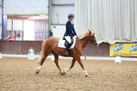 SBM_000556