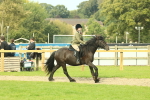 SBM_69354