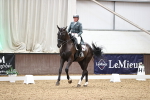 SBM_009237