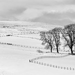 Corgarff fences