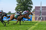 160726-Race 4-Park Lane Penny-4694