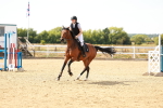 SBM_003895