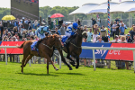 140525-Race 1-Almoshher-1582