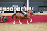 SBM_00872