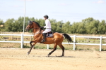 SBM_008087