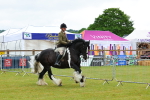 SBM_01166