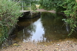 WJ7_8301