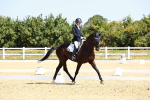 SBM_009923