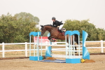 SBM_024192