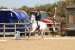 SBM_010460