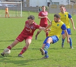 IMG_1953