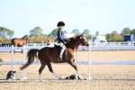 SBM_07800