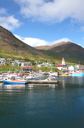 Iceland portfolio