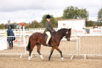 SBM_02801
