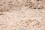 250510-110740-11018