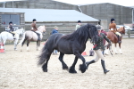 SBM_007252